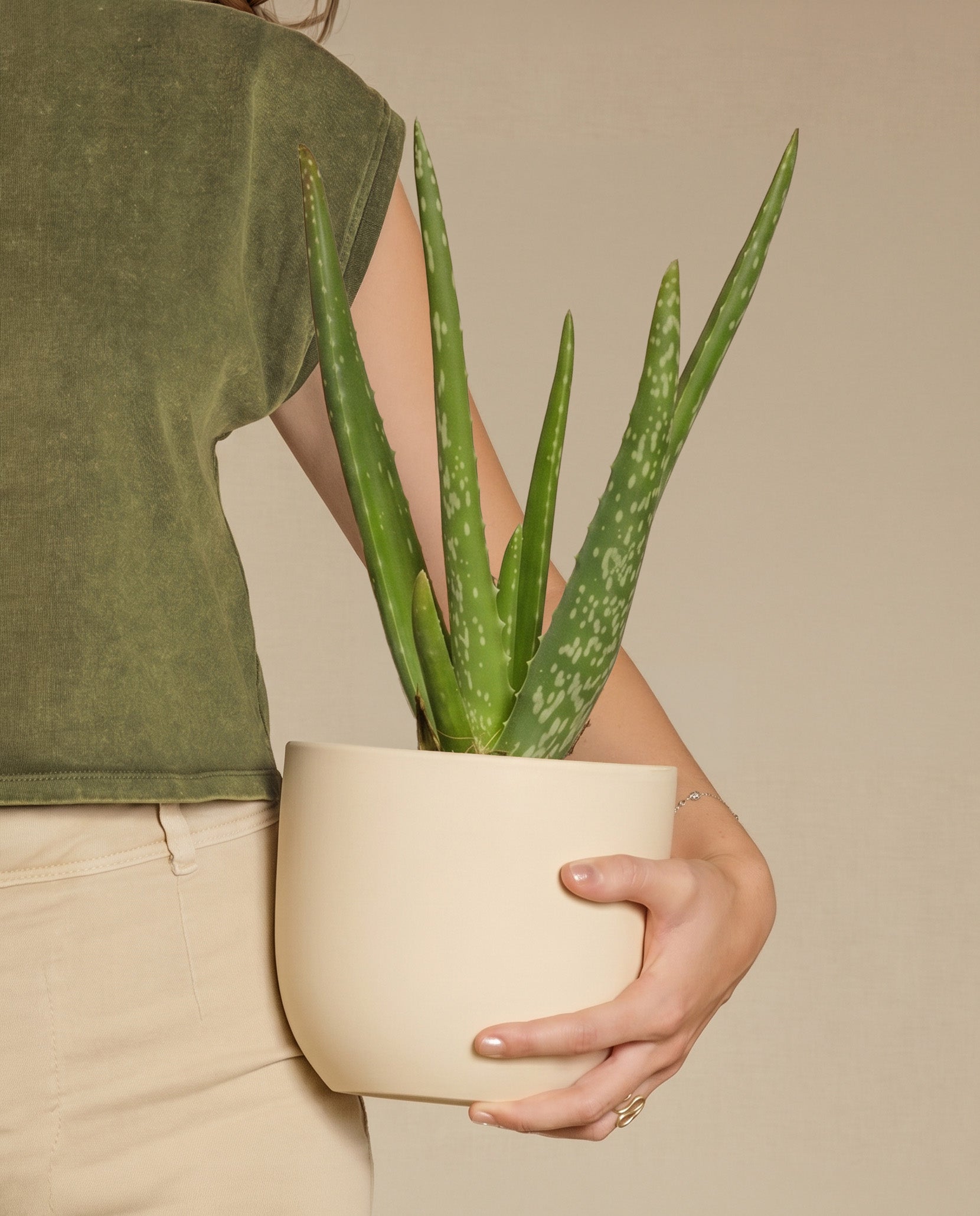 Echte Aloe