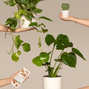 Me-Time Bundle
