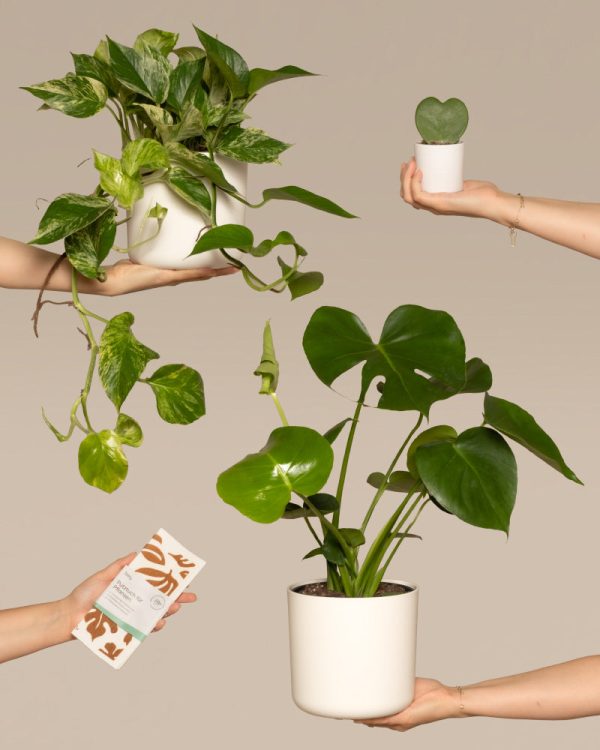 Me-Time Bundle