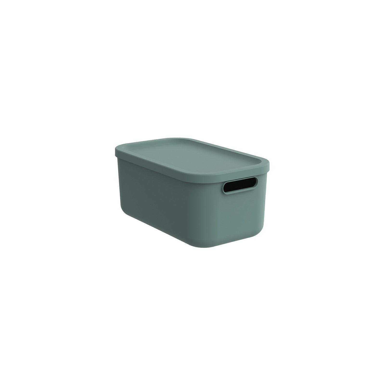 Box 12 l ALBULA LIGHT