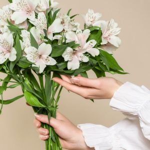 Alstroemeria weiß