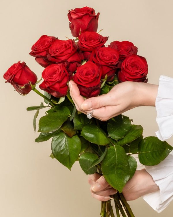 Rote Rosen