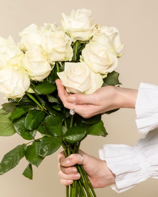 Weiße Rosen