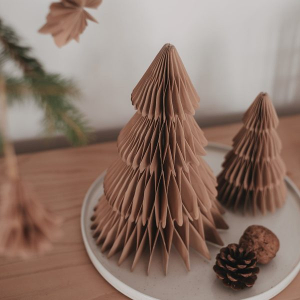 Papiertanne 2er Set braun