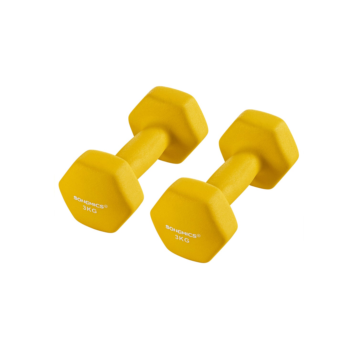 Kurzhanteln 2er Set 2 x 3 kg
