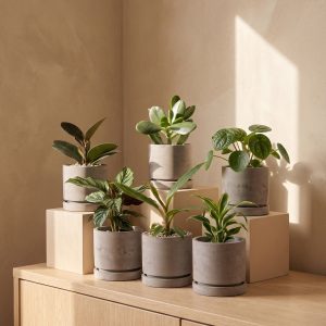 Beton Baby-Topfset 'Kael' (6 Stk.)