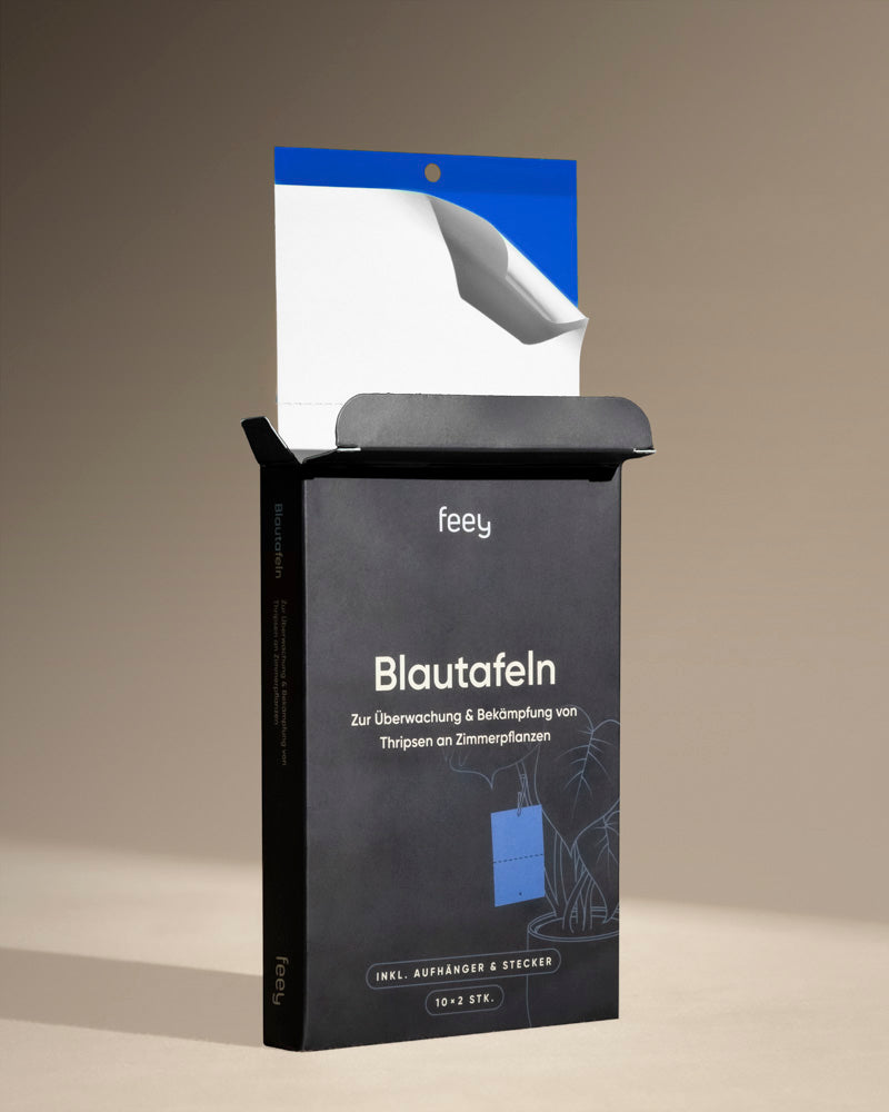 Blautafeln gegen Thripse