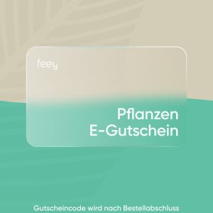 E-Gutschein