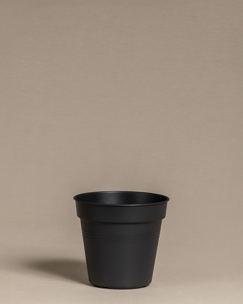 Innentopf (13 cm ⌀)