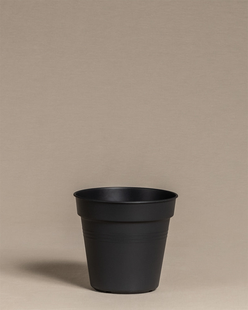 Innentopf (15 cm ⌀)