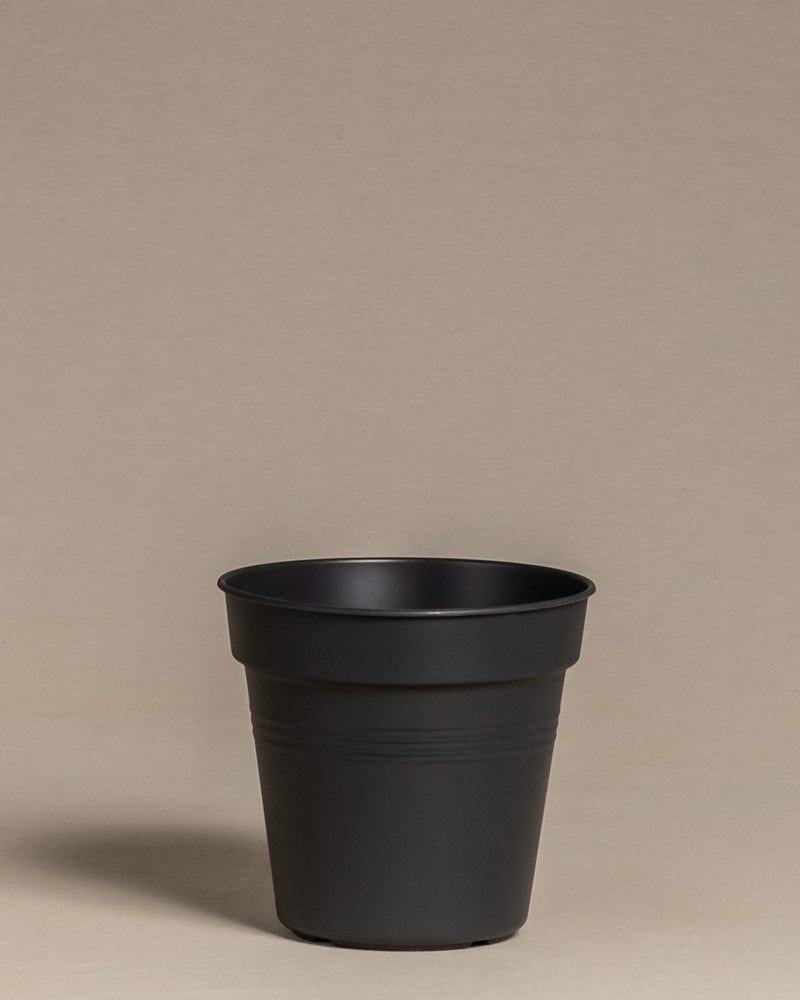 Innentopf (17 cm ⌀)