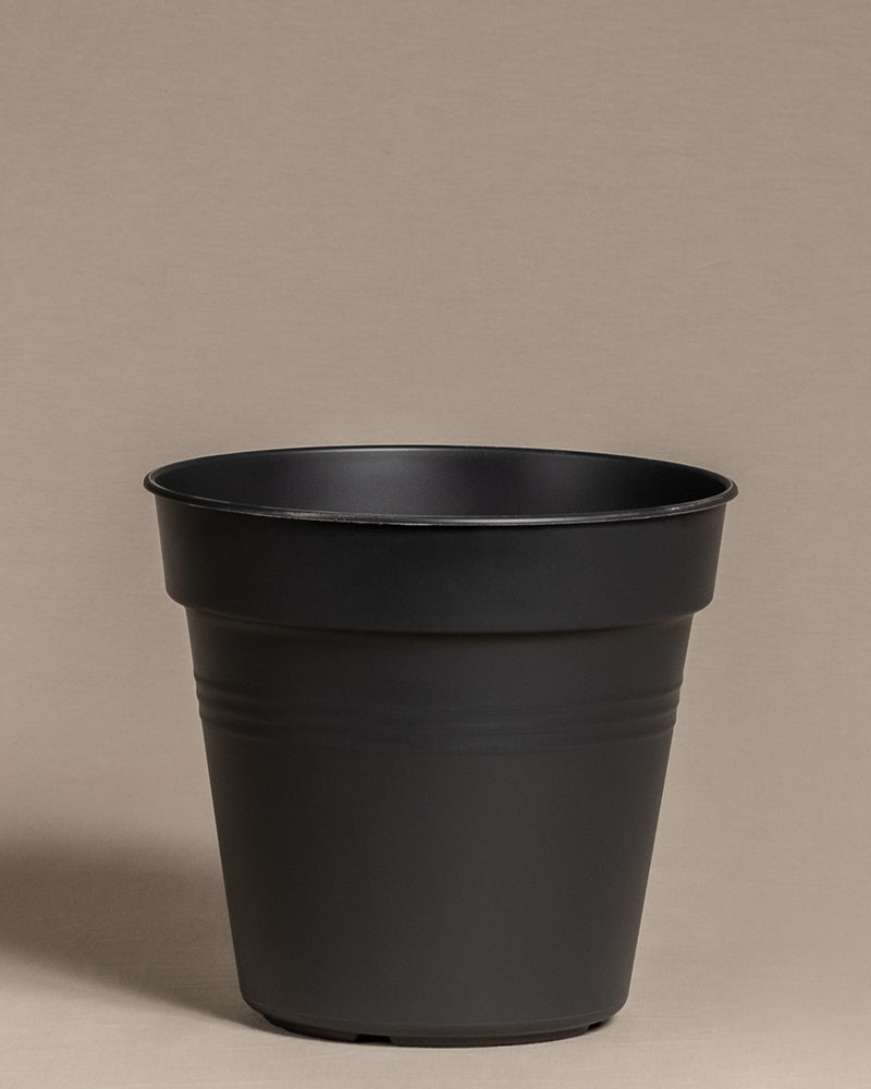 Innentopf (23 cm ⌀)