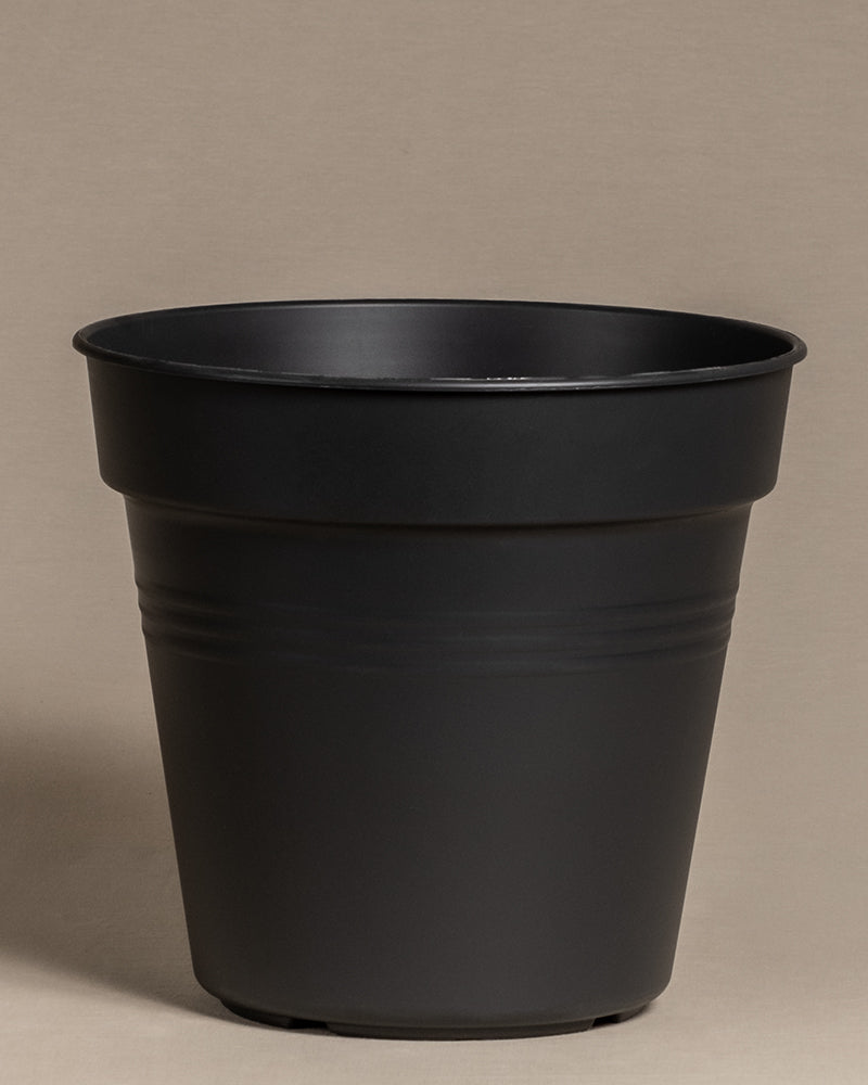 Innentopf (32 cm ⌀)