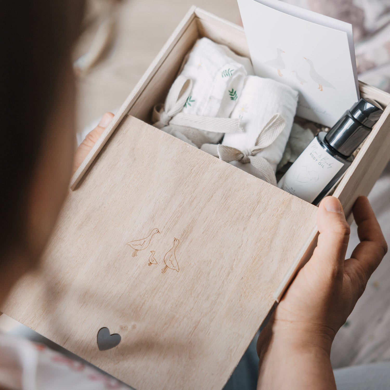 Erinnerungsbox Gänse
