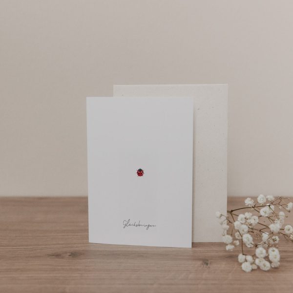 Klappkarte Ladybug